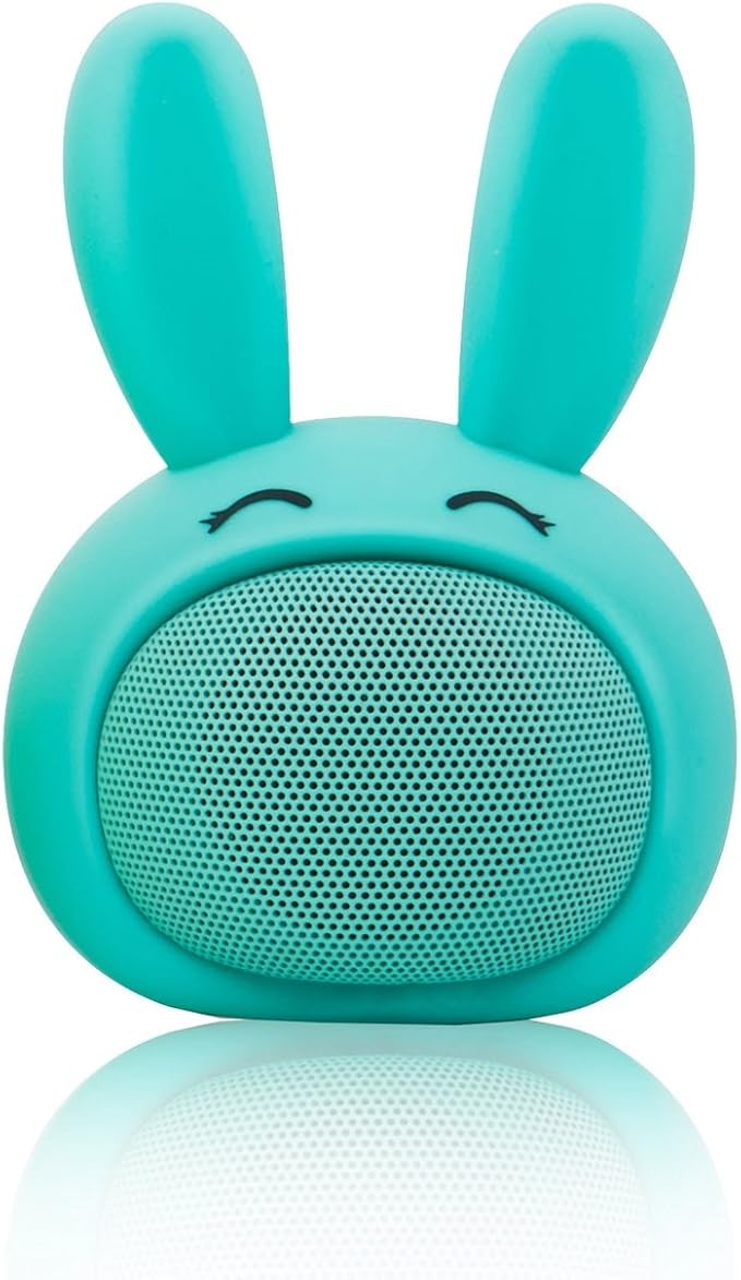 ontek shower speaker