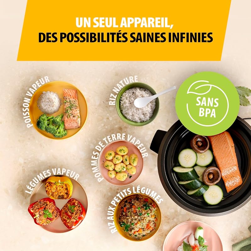 Cuiseur à Riz, 1,5 L de Capacité, Corps en Acier Inoxydable, Panier Vapeur, Arrêt Automatique, Fonction Maintien au Chaud, 500 W, RK-6145