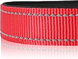 Joytale Reflective Dog Collar Nylon Neoprene Padded Medium Red view 4
