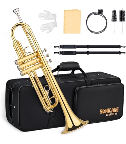 Amazon.com: Vasitelan Brass Standard B Trumpet Instrument with