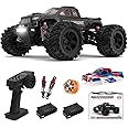 AMAZINGONE 1:20 Scale Brushless Fast RC Cars for Adults, Max 45KPH High Speed Electric Monster Racing Car,Hobby RC Trucks 4X4 Offroad Waterproof,All Terrain RTR Remote Control Car 2 Lipo Bettery 20208
