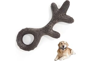 Gardner Pet Dog Chew Toys for Aggressive Chewers, Added Shredded Coconut Durable Nylon + TPR Interactive Dog Toys, Teething T