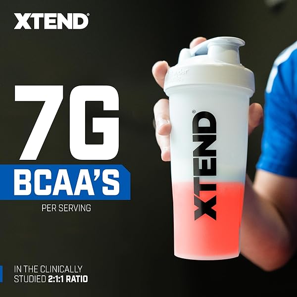 XTEND SPORT BCAA POWDER STRAWBERRY KIWI SPLASH – ELECTROLYTE POWDER FOR RECOVERY & HYDRATION WITH AMINO ACIDS – 30 SERVINGS