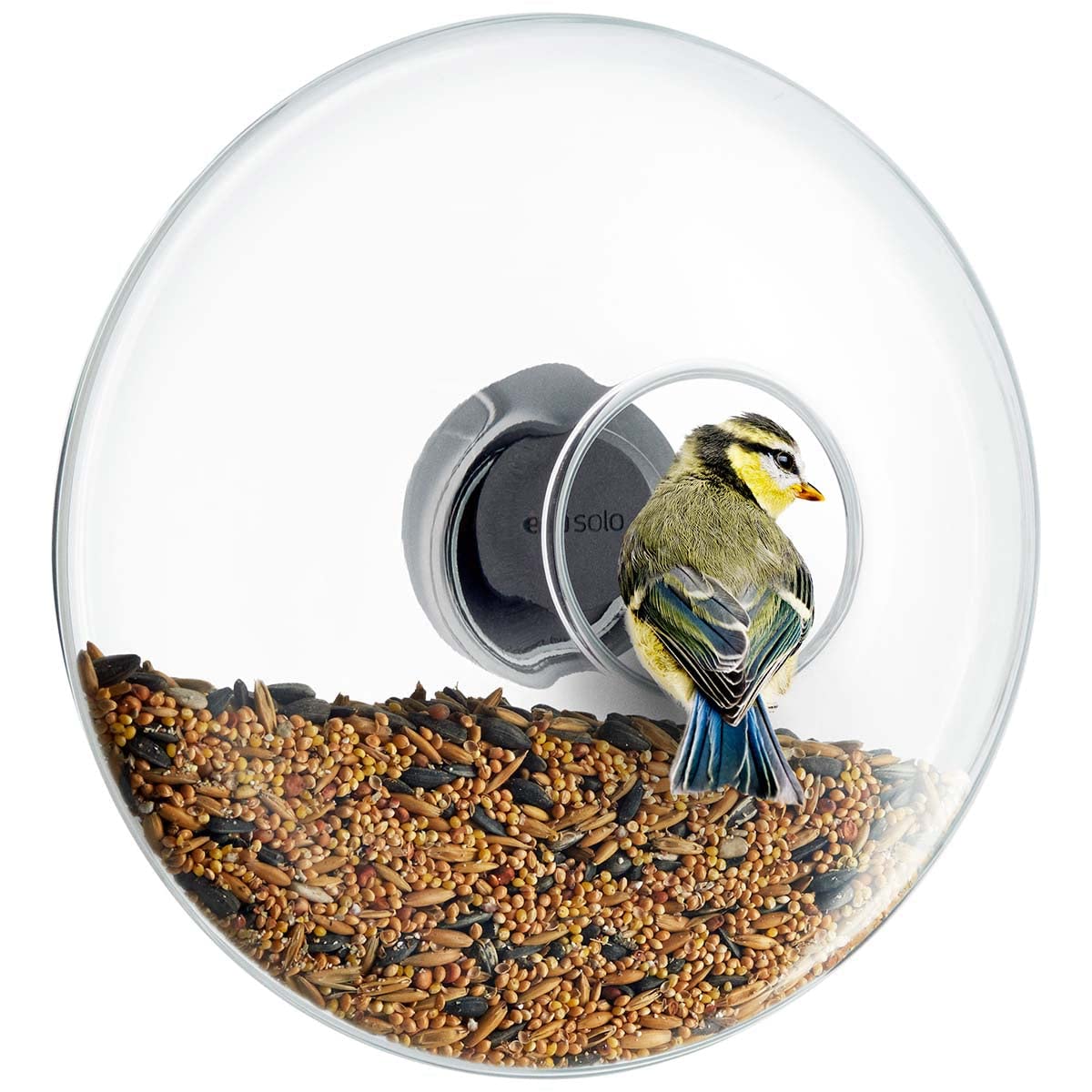 Window bird feeder large