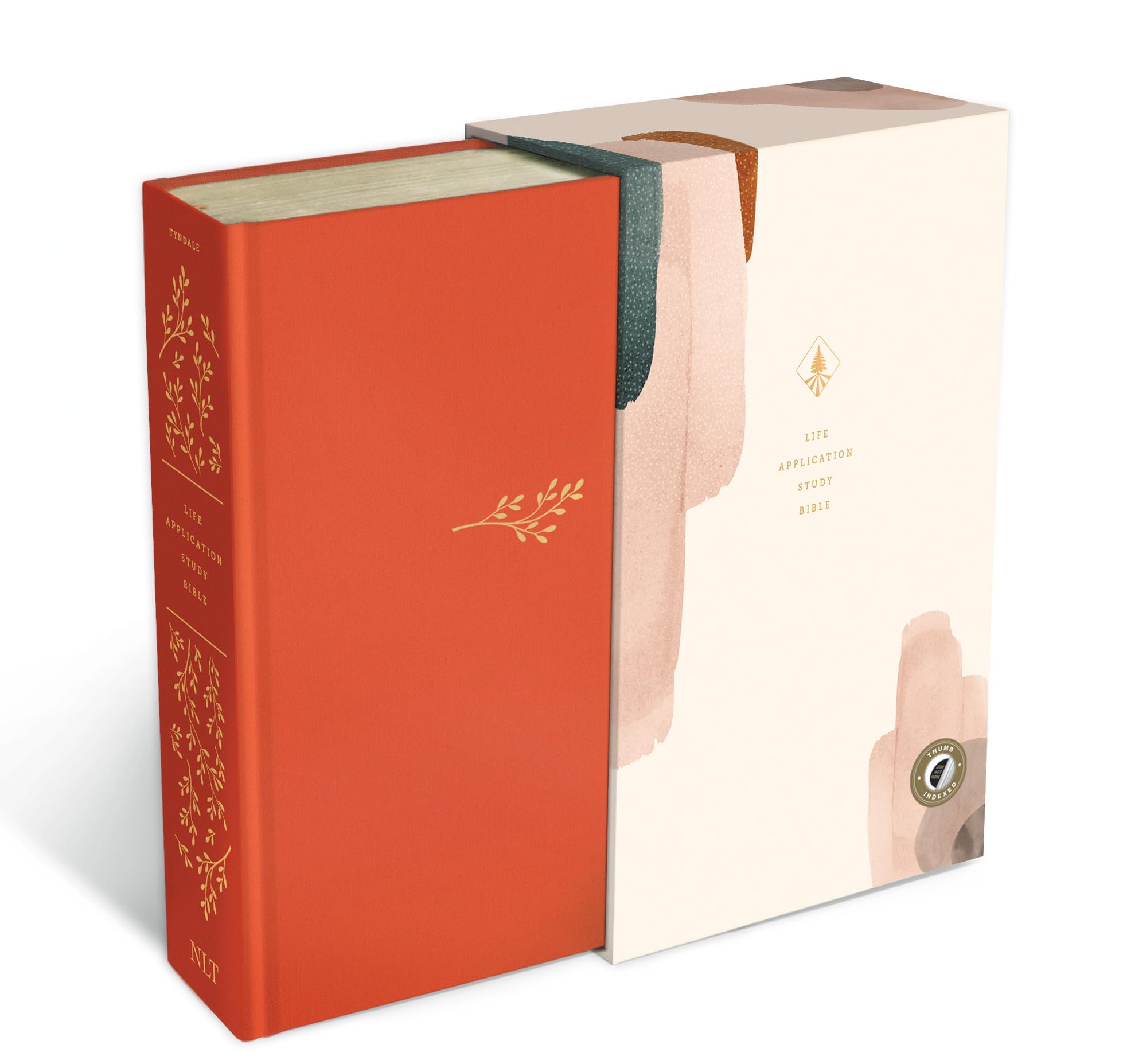 Hardcover