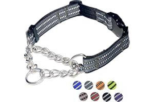 PUROAYET Martingale Dog Collars, Reflective Nylon Collar with Stainless Steel Chain, Adjustable Walking Training Dog Collars with Quick Release Buckle, Suitable for Small Medium Large Dogs(Gray,L)