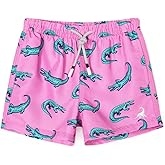 SURF CUZ Boys Swim Trunks Toddler Swim Shorts UPF 50+ Bathing Suit for Boy Swimsuit Quick Dry Mesh Beach Boardshorts Swimwear