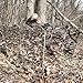 GhostBlind 6.25’’ Height Extenders for Runner Hunting Blind, Set of 3, Camouflage, R-EXT-3 Pack