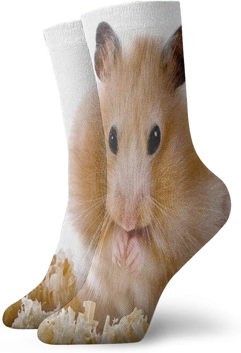 hamster in a sock