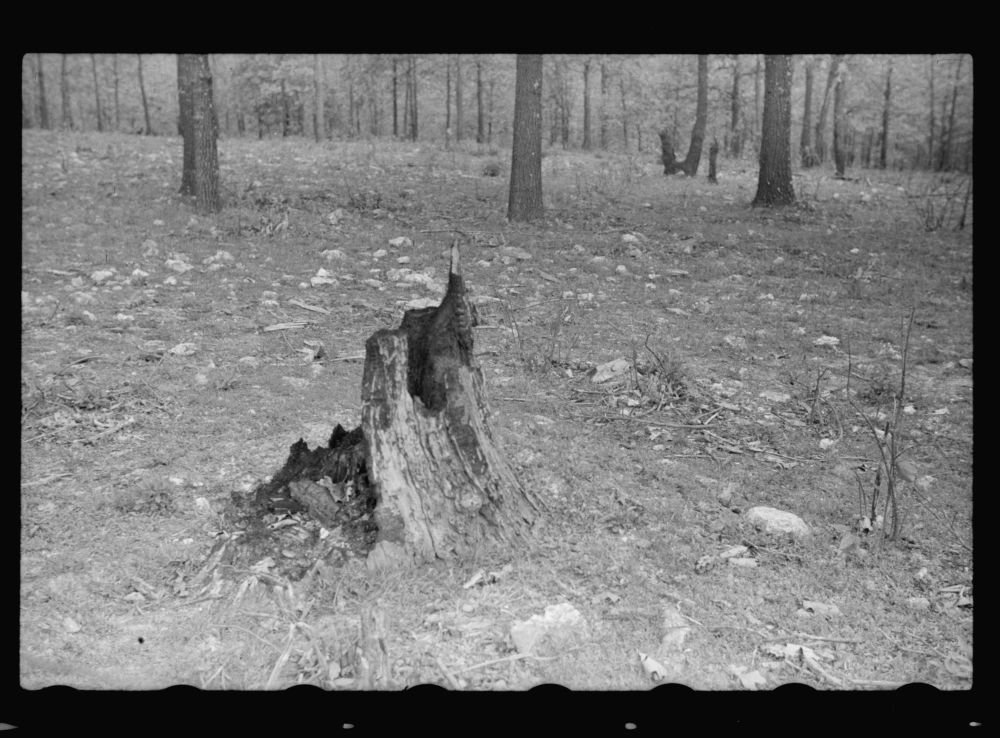 Amazon Com Small Plot Of Land And Log Cabin For Sale Ozark