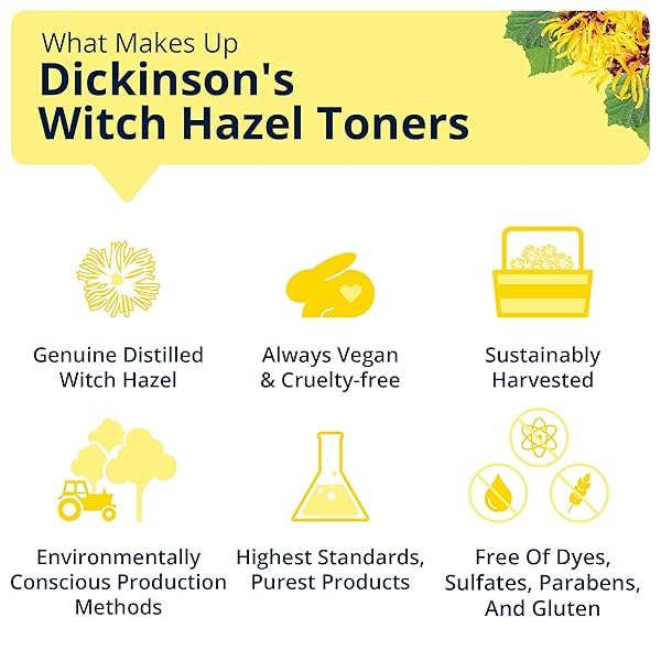 DICKINSON’S WITCH HAZEL BRIGHTENING TONER + SERUM WITH GRAPEFRUIT