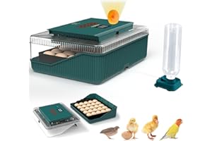 Loyala 25 Egg Incubator Digital Poultry Hatcher Machine with Automatic Egg Turning, Temperature & Humidity Control, LED Screen, General Purpose Incubator (Transparent)