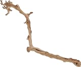 Exo Terra Forest Branch Large Natural Heat Treated Terrarium Decor view 2