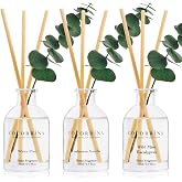 COCORR&Iacute;NA Reed Diffuser Set of 3 with Dried Eucalyptus for Home &amp; Office | Wild Mint &amp; Eucalyptus/White Pine/Cashmere Vanilla Scents, Aromatherapy Scented Oil Diffusers, 1.7 oz Each, Total 5.1 oz
