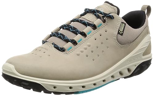 ecco biom venture gtx reviews