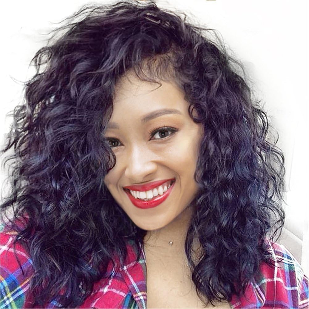 LEOMI Hair Brazilian Virgin Hair Lace Front Wigs Natural Curly wavy Remy Human Hair Lace Wigs with Baby Hair for African Americans 130% Density (14 inches, Lace Front Wig)