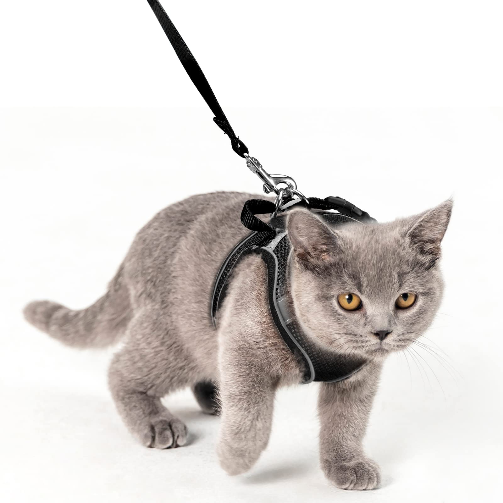 Brifit Cat Harness and Leash, Soft Mesh Escape-Proof Cat Harness and Leash Set for Walking, Adjustable Reflective Vest Harness, Puppy Harness and Lead Set, for Small Cats Outdoor Training (XXS Black)