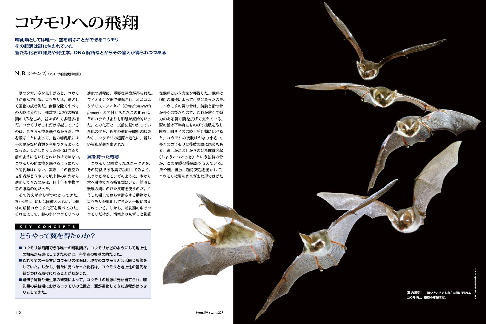 鳥のサイエンス 別冊日経サイエンス227 日経サイエンス編集部 本 通販 Amazon