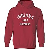 UGP Campus Apparel UGP Campus Apparel NCAA Vintage Year Arch, Team Color Hoodie, College, University
