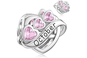 JIAYIQI Birthstone Charm for Charms Bracelet, 925 Sterling Silver Endless Love Heart Charm Engraved Symbolizes, Happy Birthday Charms for Bracelet Necklace