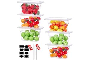 SVKLHY 1/9 Size 2.5 Inch Clear NSF Polycarbonate Food Pan-9 PCS[Food Grade][Hot&Cold Resistant] Commercial Food Pans with Lids, Restaurant Food Storage Containers Hotel Pan(BPA-FREE)