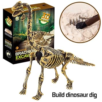 toy dinosaur bones kit