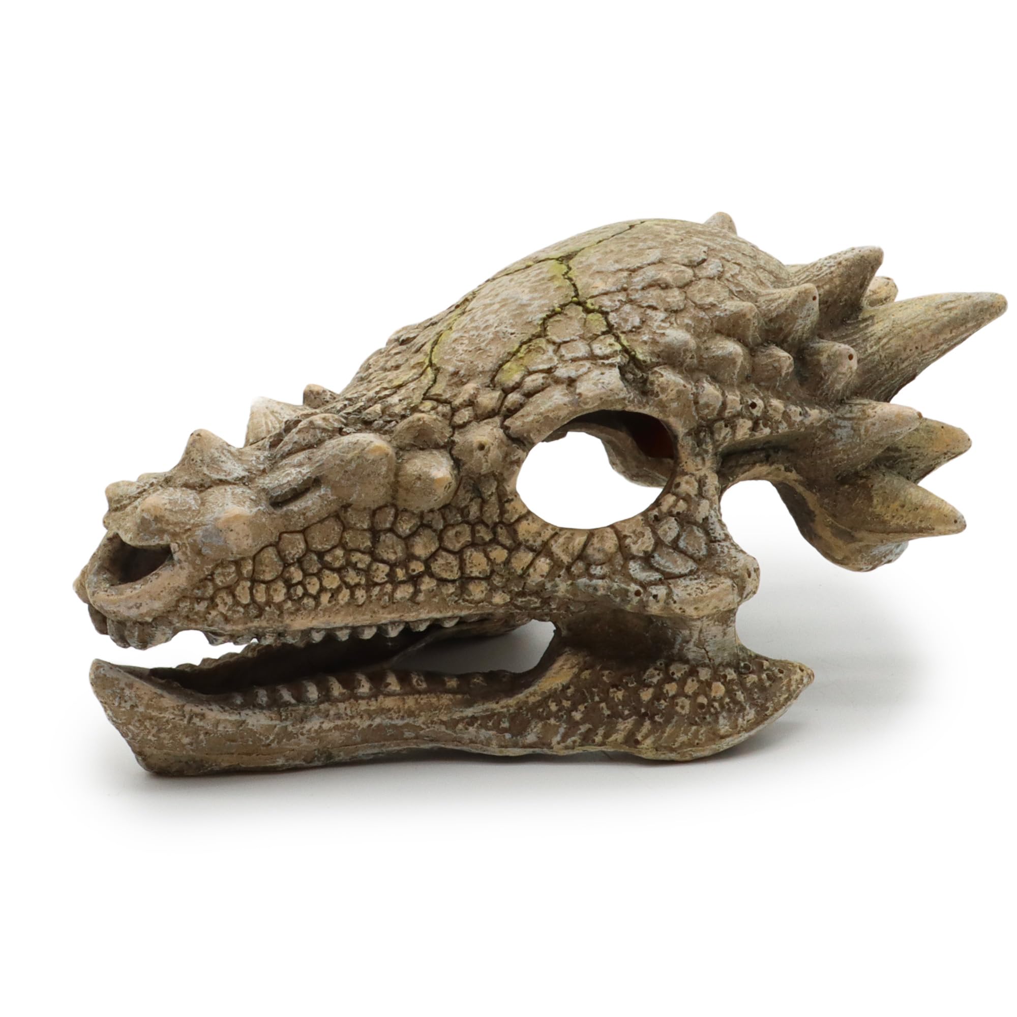 wave Dragon Skull B