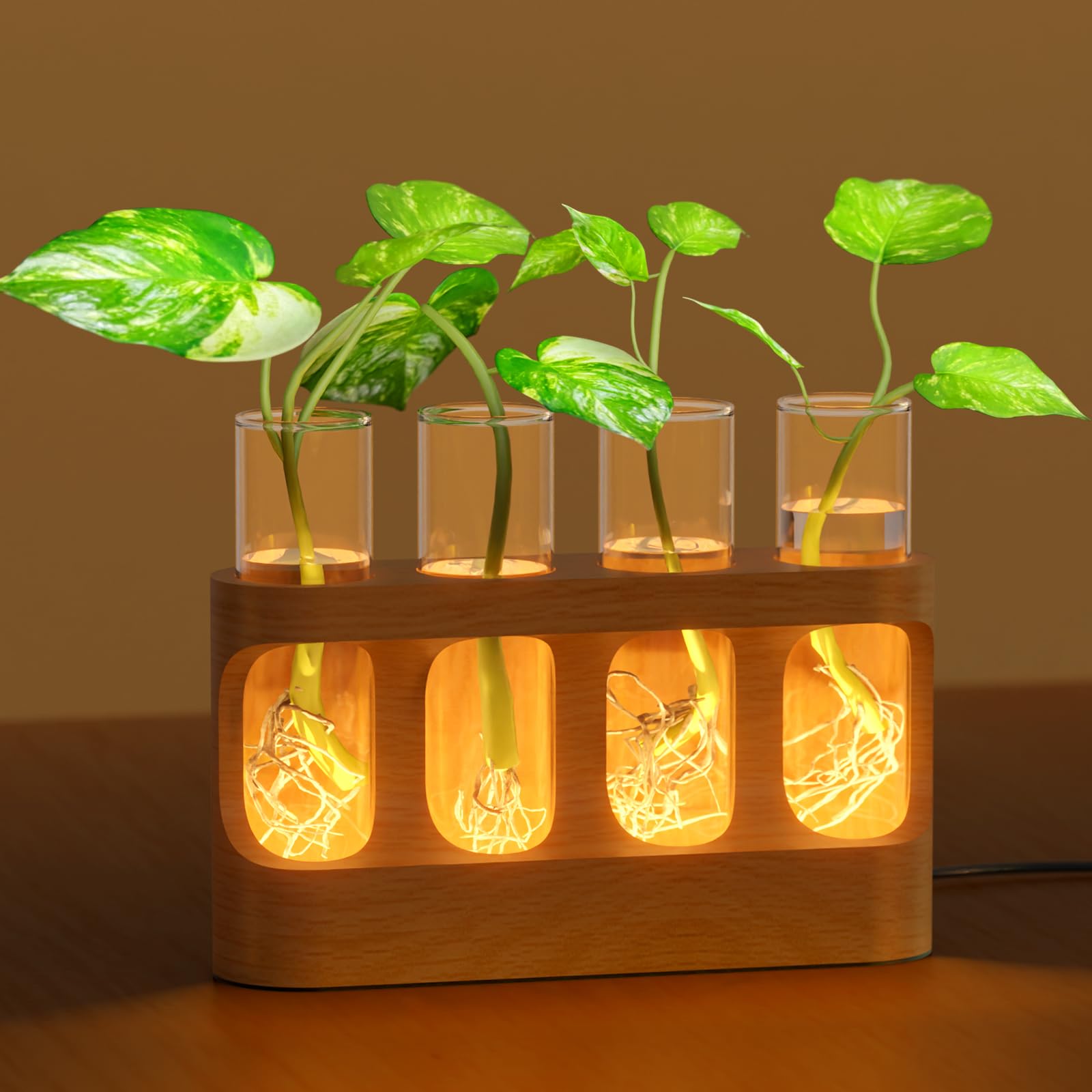 View 1 of ***MISSING ONE TUBE*** Plant Propagation Station with Wooden Stand, Gardening Gifts for Mom Women Plant Lovers, 9-Level Dimmable LED Light 4 Glass Test Tubes Vases for Hydroponic Plants - Desktop Terrarium for Home Decor