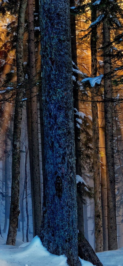 PeelitStickit, Beautiful Nature Wall Murals, ID-2914, vinyl