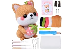 BAGERLA Needle Felting Kit for Beginners, Wool Needle Felting DIY Starter Kit with Tools and Instructions, Wool Felting Supplies for DIY Art Craft
