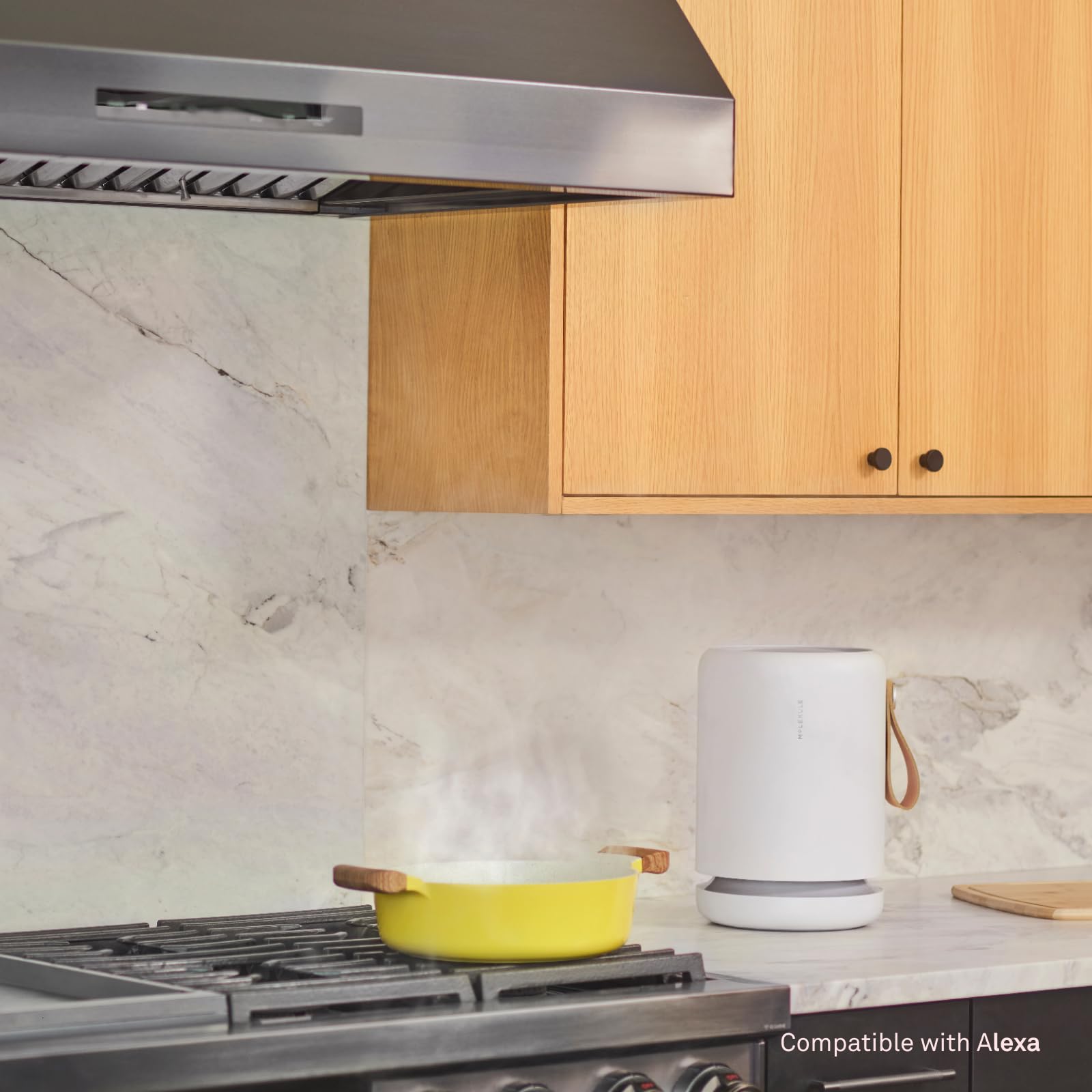 Molekule Air Purifier Mini+ - Purifies Rooms Up to 250 Sq Ft - Smart Purifier with High Pollutant Capture Rate - Air Quality Monitoring Capabilities - White