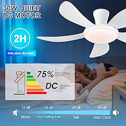 PHORUS 48" White Ceiling Fan with Lights and