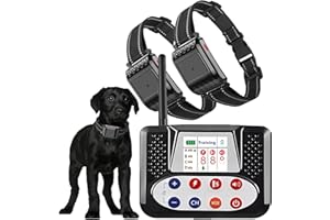 Wireless Dog Fence, Covers up to 856-Acre Pet Dog Fence Boundary Containment System, IP67 Waterproof Training Collar with Rem