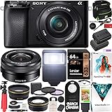 Sony a6100 Mirrorless Camera 4K APS-C ILCE-6100LB with 16-50mm F3.5-5.6 OSS Lens Kit and Deco Gear Case + Extra Battery + Fla