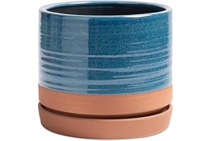 HERDUK 8 Inch Pots for Plants, Ceramic Planter Pot with Drainage Hole & Saucer, Indoor/Outdoor Cylinder Round Planter Pot, Blue & Terracotta