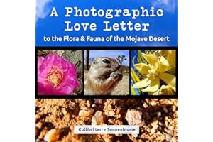 A Photographic Love Letter to the Flora and Fauna of the Mojave Desert
