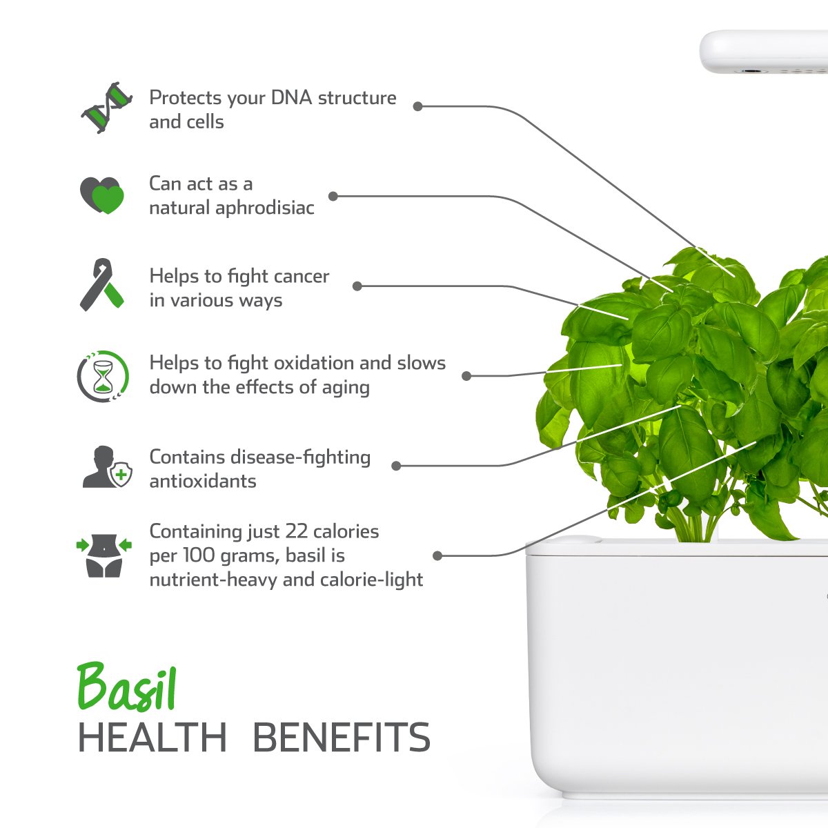 Emsa M5260900 Cápsula de sustrato Click and Grow Basil, paquete de ...