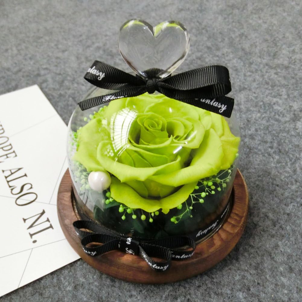 the mortal immortal Beauty and the beast rose set,LED,Preserved flower rose,Gift box Glass cover Diy Valentine day,Never withered real Wedding Valentine,Anniversary, Birthday-I