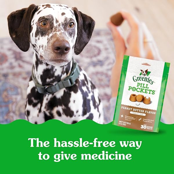 GREENIES PILL POCKETS FOR DOGS LARGE SIZE, DOG TREAT POUCH FOR CAPSULE MEDICATION, PEANUT BUTTER FLAVOR, 15.8 OZ. POUCH