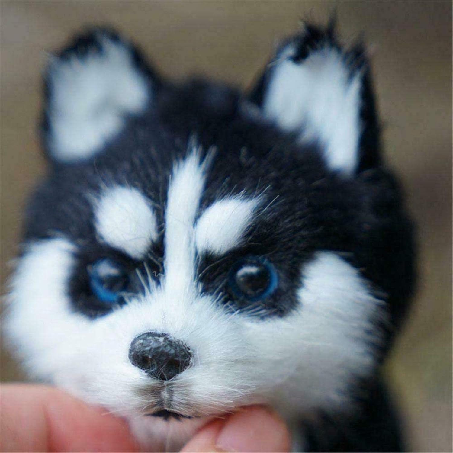 realistic husky dog pomsky robot
