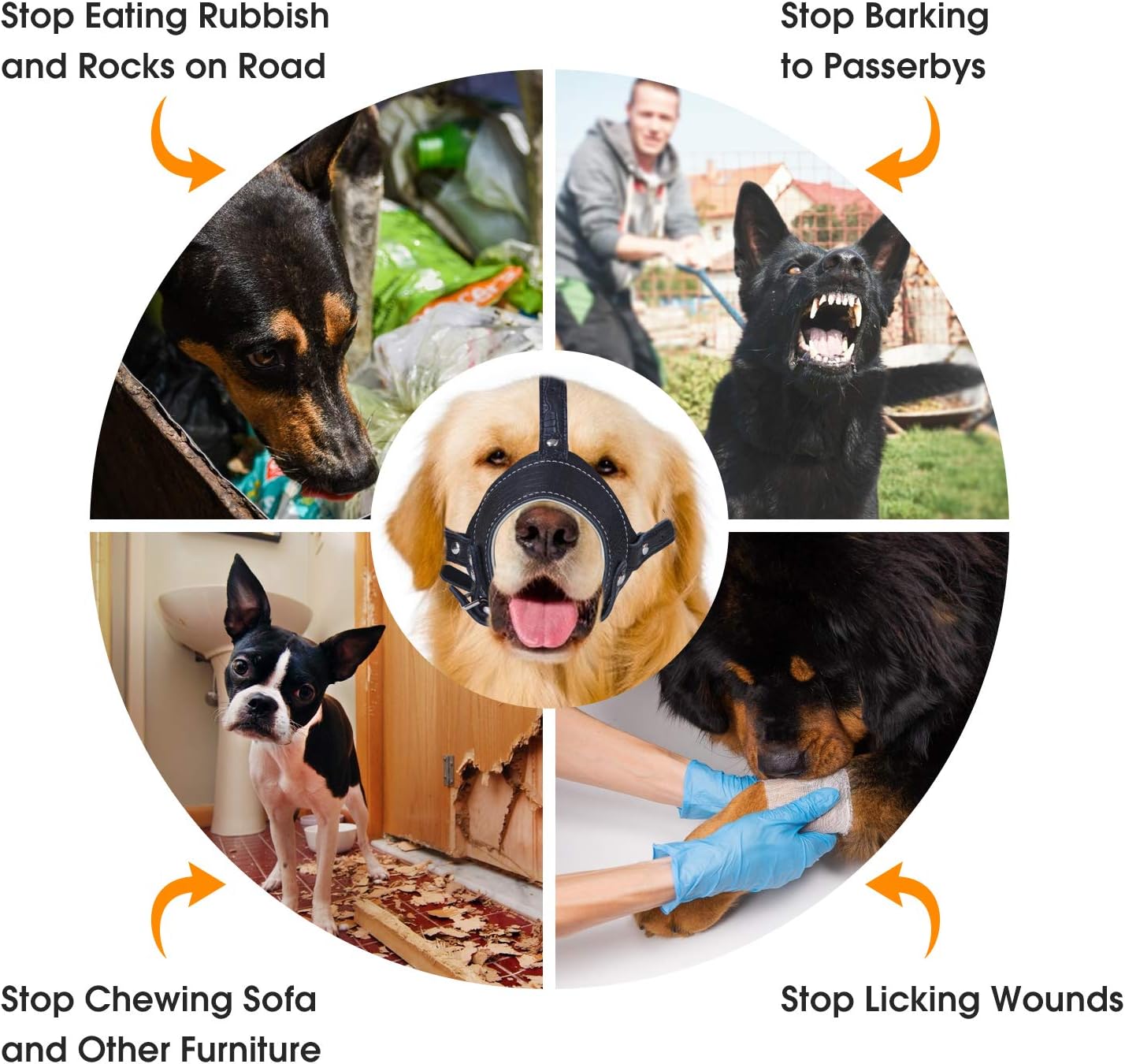 muzzle for puppy eating rocks