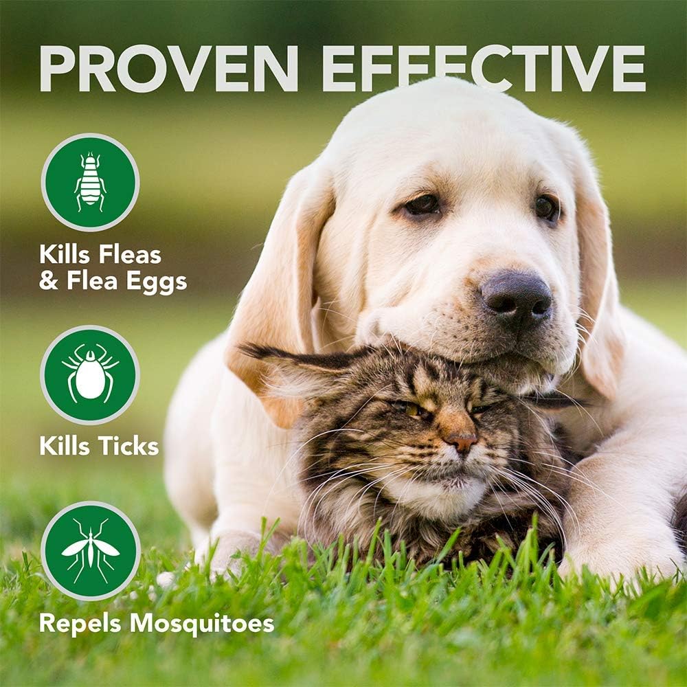 flea wipes for cats
