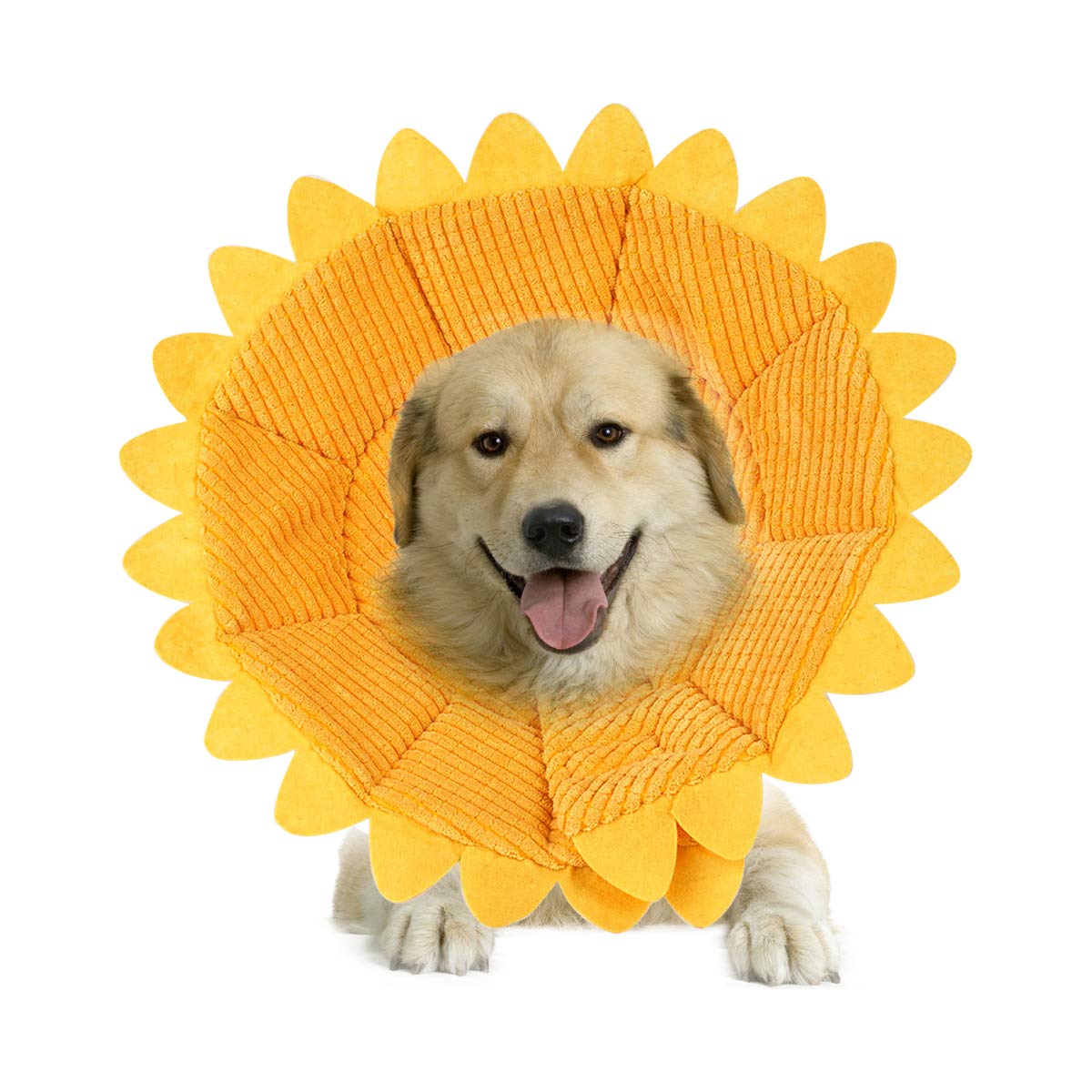 PETCUTE Recovery Collars for Dogs Cats Elizabethan Collar Pet Cone Collar Remedy Recovery Collars Wound Healing