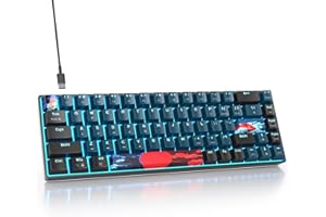 Fogruaden Wired 65% Percent Keyboard Mechanical, RGB Gaming Keyboard 60 Percent, Ultra-Compact 68 Key Mini Keyboard for Win/M
