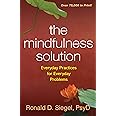 The Mindfulness Solution: Everyday Practices for Everyday Problems