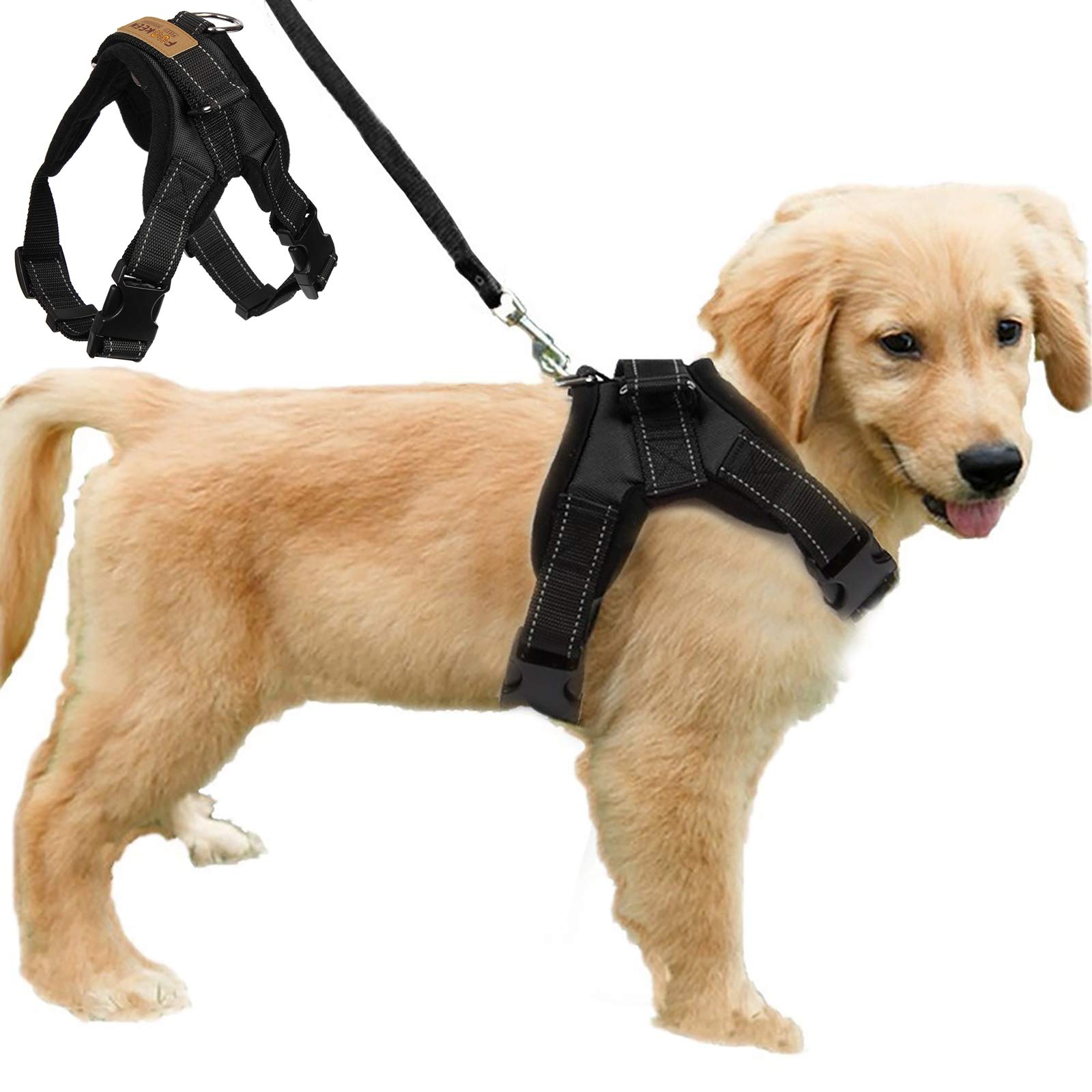 FUNKEEN PET HOUSE No Pull Dog Harness Adjustable Soft Padded Dog Vest Harnesses Chest Strap for Outdoor Walking Training Assistance (S, Black)