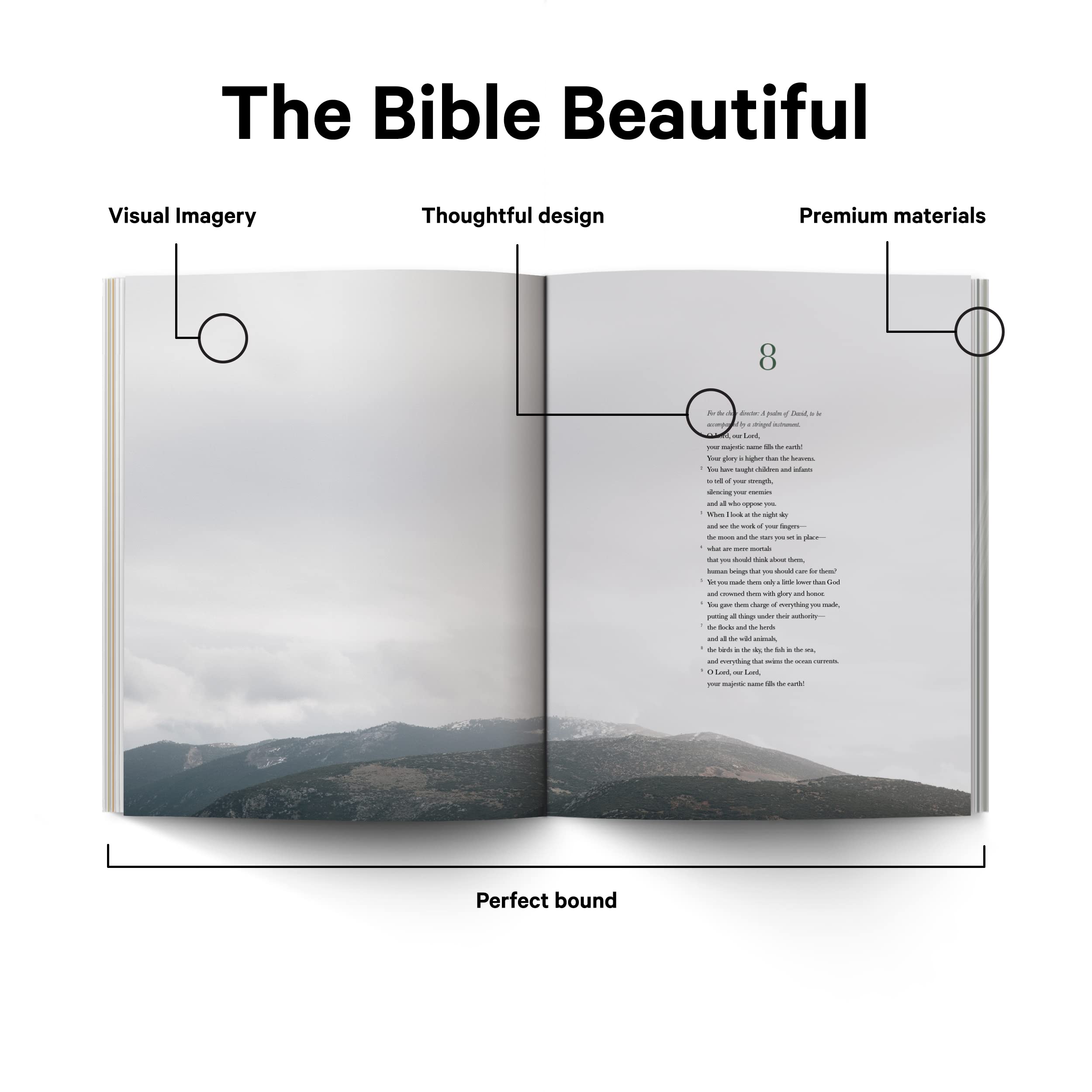 Book of Psalms - Alabaster Bible Book of Psalms - Alabaster Bible Paperback Hardcover