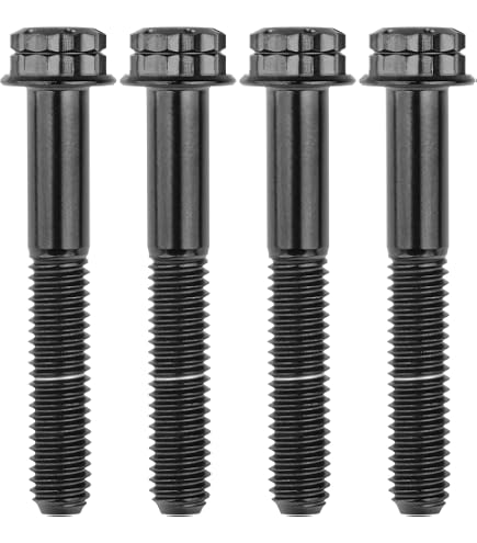 Amazon.com: RISON Titanium Bolts M8*1.25 * 35 Torx Titanium Bolts