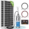 ECO-WORTHY 3.2GPM Solar Well Pump Kit for Watering- 1pc Submersible 12V Solar Water Pump + 2pcs 100W Mono Solar Panel + 20A Charge Controller for well, off-grid living, Irrigation