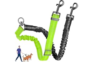 AKEISHE Double Dog Leash for Two Dogs - 2-in-1 Upgraded Double Leash for Two Dogs with Adjustable Strap & Shock Absorbing Bungee, No Tangle Dual Training Splitter (Green)